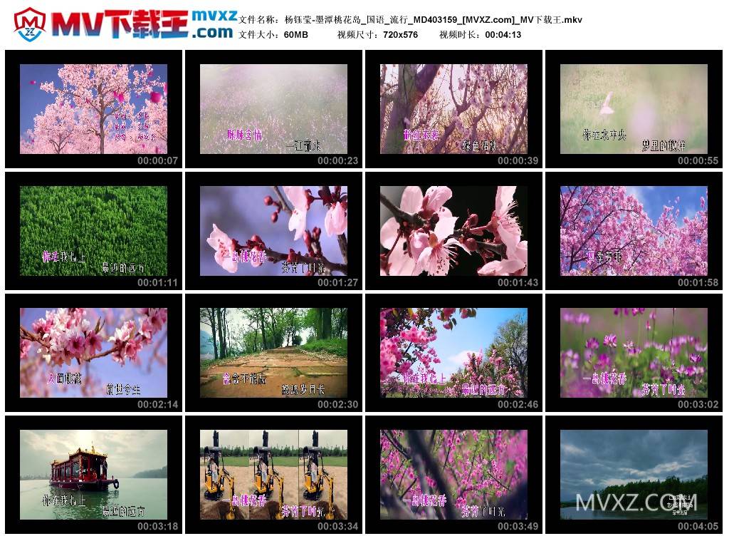 杨钰莹-墨潭桃花岛_国语_流行_MD403159